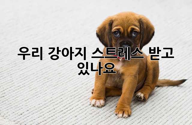 88678823e1e24fac6acb2fab826f484a.jpg