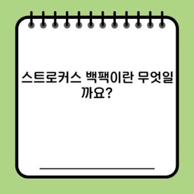 스트로커스 백팩 완벽 가이드: 종류, 장단점 비교 및 구매 가이드