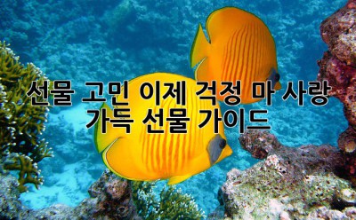 선물🎁 고민? 이제 걱정 마! 사랑💖 가득 선물 가이드