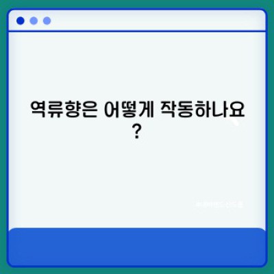 역류향: 모든 궁금증 해결 가이드