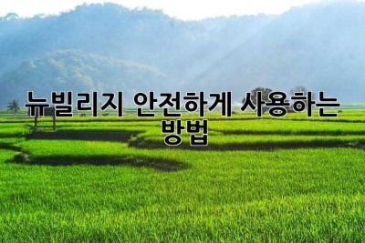 뉴빌리지 안전하게 사용하는 방법