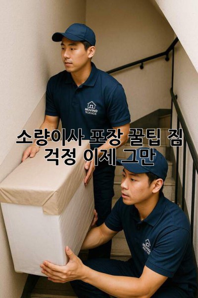 소량이사📦 포장 꿀팁🍯: 짐 걱정 이제 그만! 😉