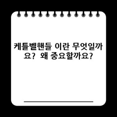 케틀벨핸들 완벽 가이드: 선택부터 활용까지, 효과적인 운동을 위한 모든 것