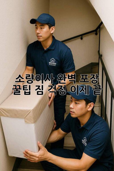 소량이사📦 완벽 포장 꿀팁🍯: 짐 걱정 이제 끝!