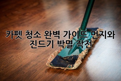 카펫 청소 완벽 가이드: 먼지와 진드기 박멸 작전!