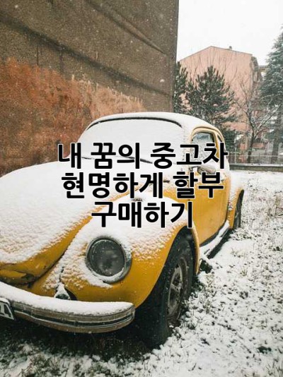 내 꿈의 중고차, 현명하게 할부 구매하기!