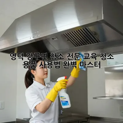 영덕 강구면 청소 전문 교육: 청소 용품 사용법 완벽 마스터!