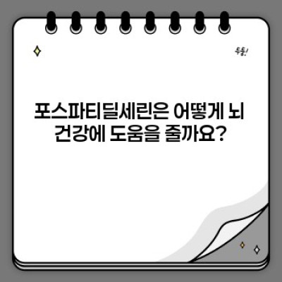 포스파티딜세린 효능: 뇌 건강, 인지 기능 개선, 그리고 더 나아가… 완벽 가이드